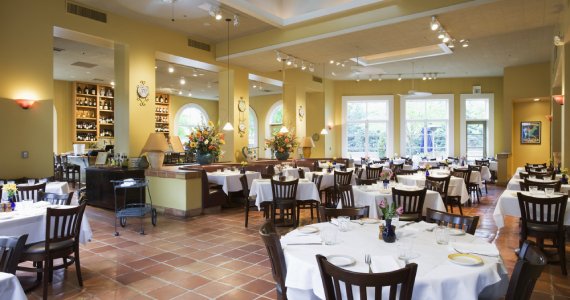 Frame Huaca Mateo Salado