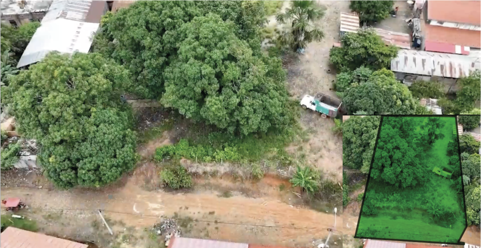 FUNDO ALEXANDER VON HUMBOLDT