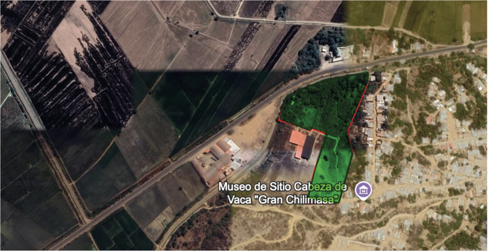 GRANJA CABEZA DE VACA